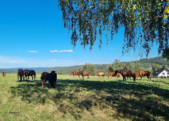 Sokolovna Krasna * Schönbach